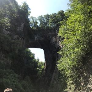 Meet your Posher, Riley